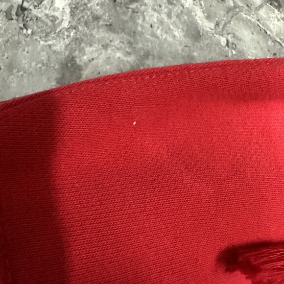 Champion Reverse Weave Hoodie Sweatshirt Large Red Eagle Fang Cobra Kai Karate - Picture 6 of 8